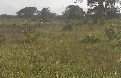 Imagem 3: VENDO TROCO FAZENDA REGIAO DE ARAGUAINA-MT 6138