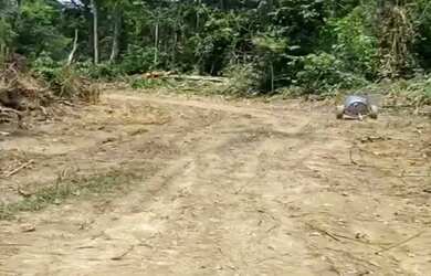 Imagem 5: ARRENDO FAZENDA DE 6000 HECTARES EM RORAIMA IDEAL PARA CULTURA SOJA E...