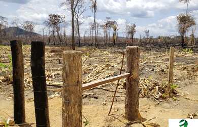 Imagem 13: ARRENDO FAZENDA DE 6000 HECTARES EM RORAIMA IDEAL PARA CULTURA SOJA E...