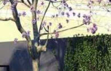 Imagem 11: APARTAMENTO RESIDENCIAL em São Paulo - SP, Freguesia do Ó