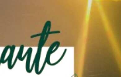 Imagem 4: Terreno em Condomínio Preço de lançamento - Aracê, Pedra Azul, Domingos...