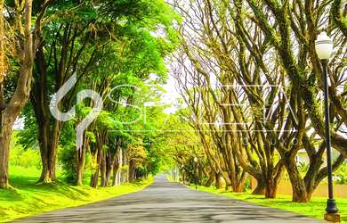 Imagem 7: Lote próximo a quadra poliesportiva à venda na Fazenda Serrazul I