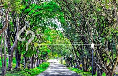 Imagem 8: Lote na alameda da sede esportiva à venda na Fazenda Serrazul I