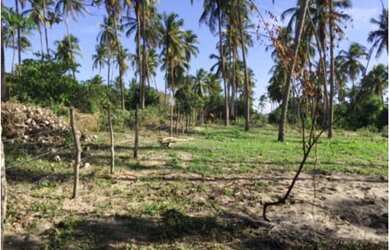 Imagem 10: O MELHOR TERRENO DE SÃO MIGUEL DO GOSTOSO