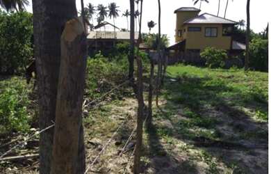 Imagem 8: O MELHOR TERRENO DE SÃO MIGUEL DO GOSTOSO