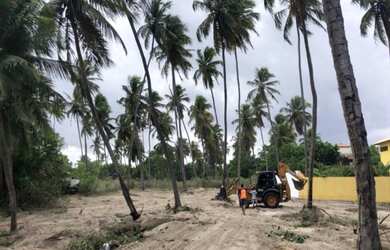 Imagem 4: O MELHOR TERRENO DE SÃO MIGUEL DO GOSTOSO