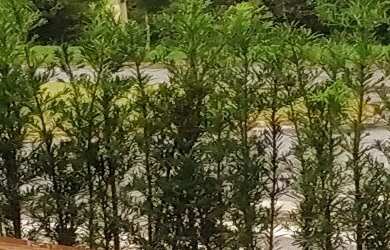 Imagem 15: CASA RESIDENCIAL em BRAGANÇA PAULISTA - SP, CONDOMÍNIO RESIDENCIAL EUROVILLE...