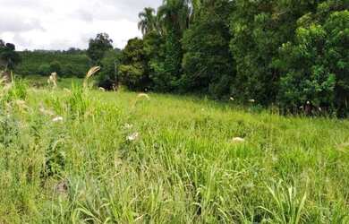 Imagem 3: Comercial à venda - no Centro