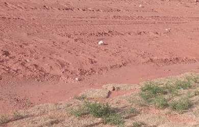 Imagem 6: Terreno 250 m² Condomínio Reserva Bellano - Jardim Santa Filomena -...