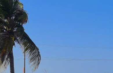 Imagem: O terreno possui 1.764m² de Área e está localizado em Canoé