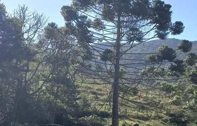 Imagem 12: Lindo Terreno com vista para Pedra do Jair