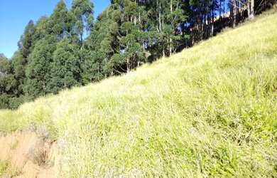 Imagem 6: Belíssimo Terreno com Vista Incrível para as Montanhas