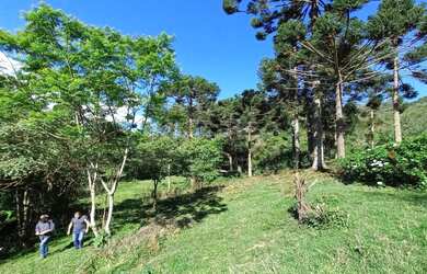 Imagem 15: Casa de fazenda. 20.000m² de Áreae3 Vagas na garagem