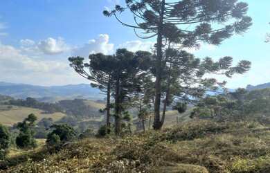 Imagem 6: Lindo Terreno com Vista Deslumbrante, Nascente e Ótima Topografia