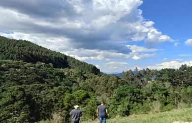 Imagem 8: Casa de fazenda. 20.000m² de Áreae3 Vagas na garagem