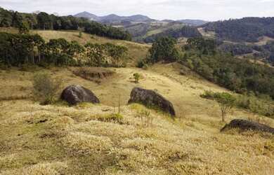 Imagem 6: Terreno dos Sonhos em Gonçalves Vista Exuberante, Nascente, Ótima Topografia