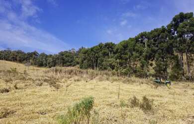 Imagem 14: Terreno dos Sonhos em Gonçalves Vista Exuberante, Nascente, Ótima Topografia