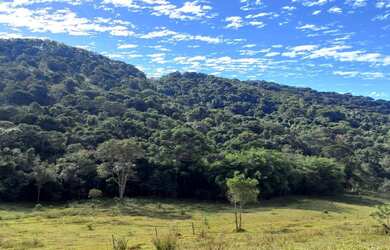 Imagem 2: Belíssimos Lotes Rodeados de Natureza