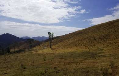 Imagem 9: Terreno dos Sonhos em Gonçalves Vista Exuberante, Nascente, Ótima Topografia