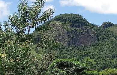 Imagem: O terreno possui 11.000m² de Área Privada e está localizado