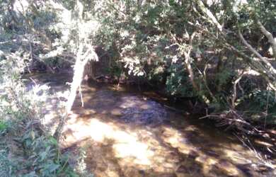 Imagem 7: OPORTUNIDADE Lindo terreno, completo