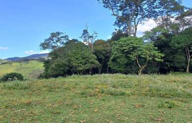 Imagem 11: OPORTUNIDADE Lindo terreno com nascente, riacho, vista e mata