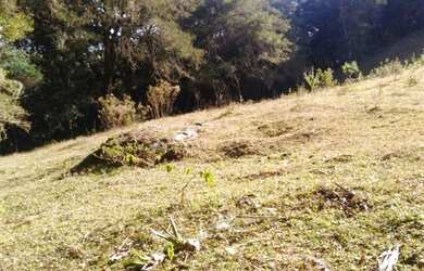 Imagem 16: OPORTUNIDADE Lindo terreno, completo