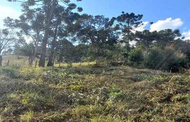 Imagem 2: Lindo Terreno com Vista Deslumbrante, Nascente e Ótima Topografia