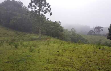 Imagem 3: OPORTUNIDADE Lindo terreno com nascente, riacho, vista e mata