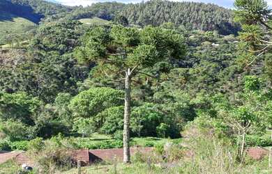 Imagem 10: Casa de fazenda. 20.000m² de Áreae3 Vagas na garagem