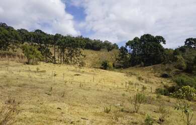 Imagem 5: Terreno dos Sonhos em Gonçalves Vista Exuberante, Nascente, Ótima Topografia