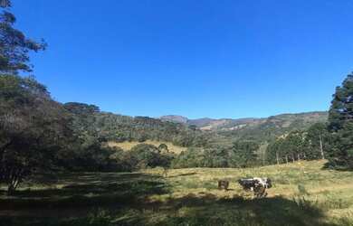 Imagem 4: Lindo Terreno com vista para Pedra do Jair