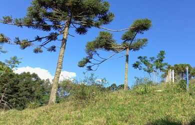 Imagem 11: Casa de fazenda. 20.000m² de Áreae3 Vagas na garagem
