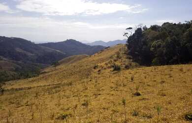 Imagem 16: Terreno dos Sonhos em Gonçalves Vista Exuberante, Nascente, Ótima Topografia