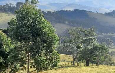 Imagem 14: Lindo Terreno com Vista Deslumbrante, Nascente e Ótima Topografia