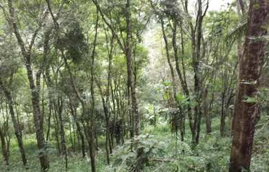Imagem 16: Belissima Casa com Vista Deslumbrante para Serra da Mantiqueira