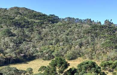 Imagem 9: Lindo Terreno com vista para Pedra do Jair