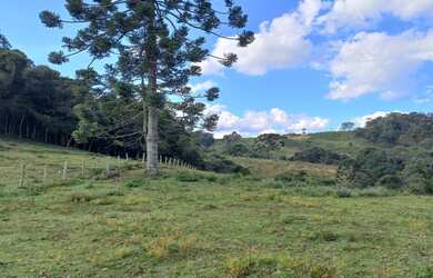 Imagem 13: OPORTUNIDADE Lindo terreno com nascente, riacho, vista e mata