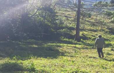 Imagem 6: Lindo Terreno com vista para Pedra do Jair