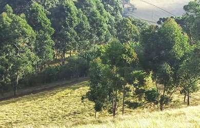 Imagem 16: Lindo Terreno com Vista Deslumbrante, Nascente e Ótima Topografia