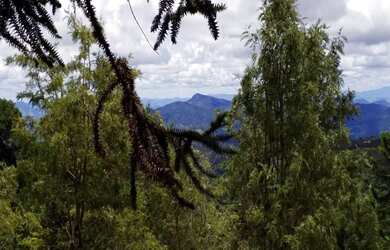 Imagem 15: Propriedade dos Sonhos nas Montanhas de Gonçalves