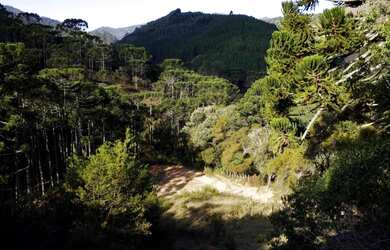 Imagem 15: Oportunidade Lindo terreno com vista incrível e pronto para construir