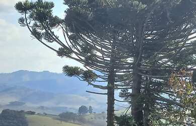 Imagem 10: Lindo Terreno com Vista Deslumbrante, Nascente e Ótima Topografia