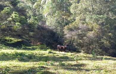 Imagem 5: Lindo Terreno com vista para Pedra do Jair