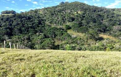 Imagem 7: Belíssimos Lotes Rodeados de Natureza