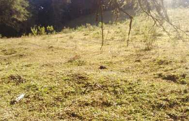 Imagem 4: OPORTUNIDADE Lindo terreno, completo