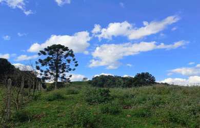 Imagem 15: OPORTUNIDADE Lindo terreno com nascente, riacho, vista e mata