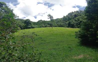 Imagem 12: Lindo Terreno com vista para Pedra do Forno e Pedra Chanfrada
