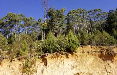 Imagem 11: Oportunidade Lindo terreno com vista incrível e pronto para construir