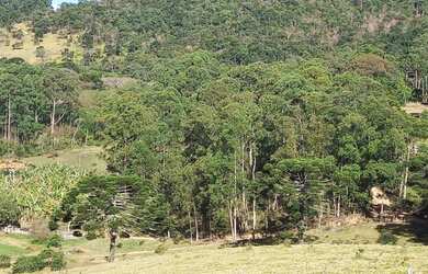 Imagem 10: Belíssimos Lotes Rodeados de Natureza